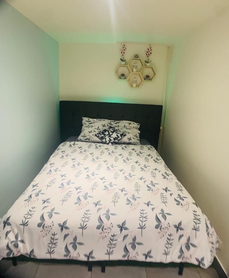 Appartement cosy proche Roissy CDG Astérix DisneyLand Paris Goussainville  Esterno foto